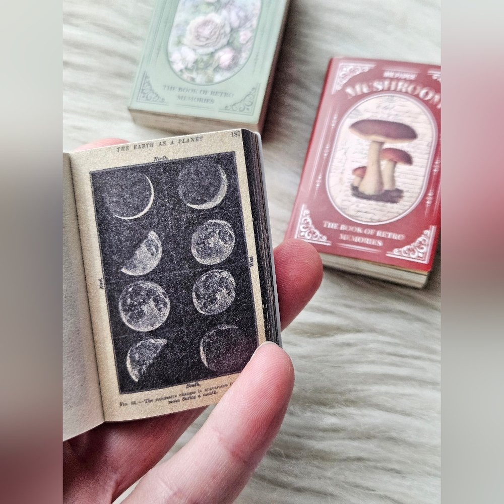 3 Mini Book Bundle - Picture 8 of 8